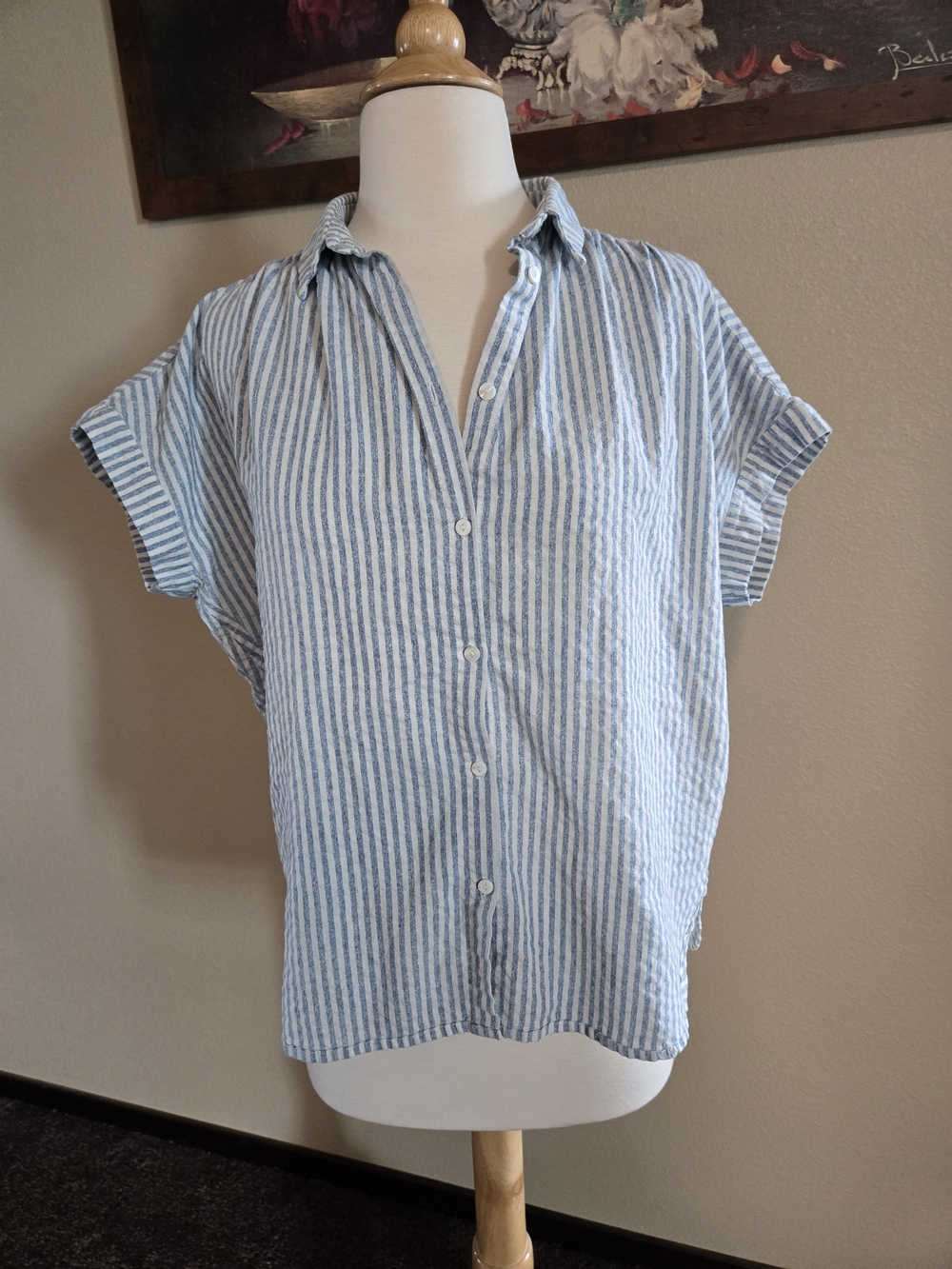 Striped Short-Sleeve Button-Down Shirt - Blue and White